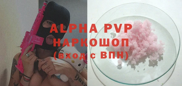 прущие грибы Ростов