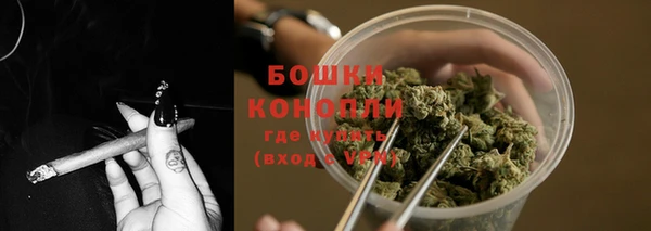 гидра Верхний Тагил