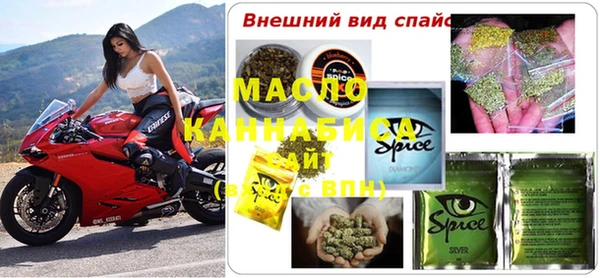 гидра Верхний Тагил