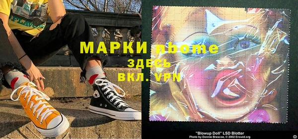 гидра Верхний Тагил