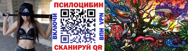 Псилоцибиновые грибы Psilocybine cubensis Знаменск