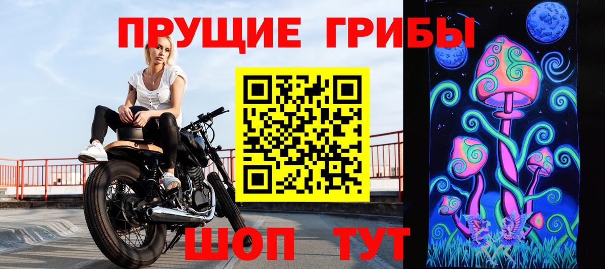 Псилоцибиновые грибы мицелий  Вход с VPN  Знаменск  Галлюциногенные грибы Psilocybe 