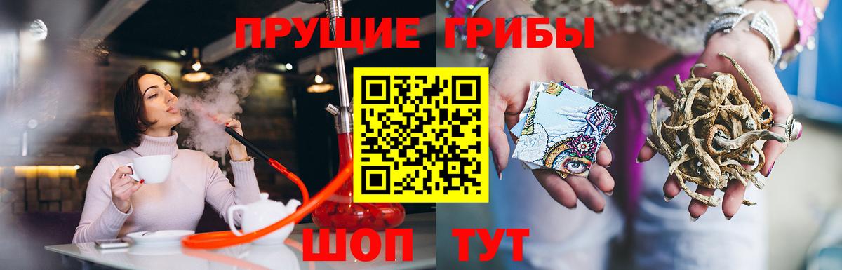 Псилоцибиновые грибы ЛСД Знаменск