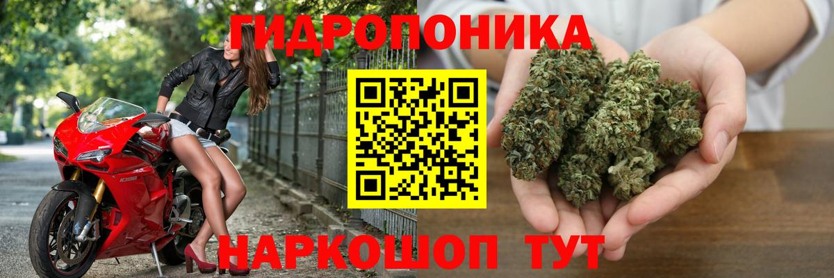 Знаменск  Каннабис ГИДРОПОН  Вход с VPN  МАРИХУАНА ГИДРОПОН 